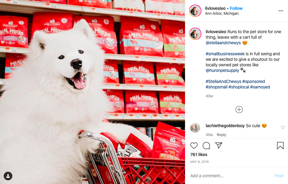 What Is Influencer Marketing? Learn To Build a Winning Strategy